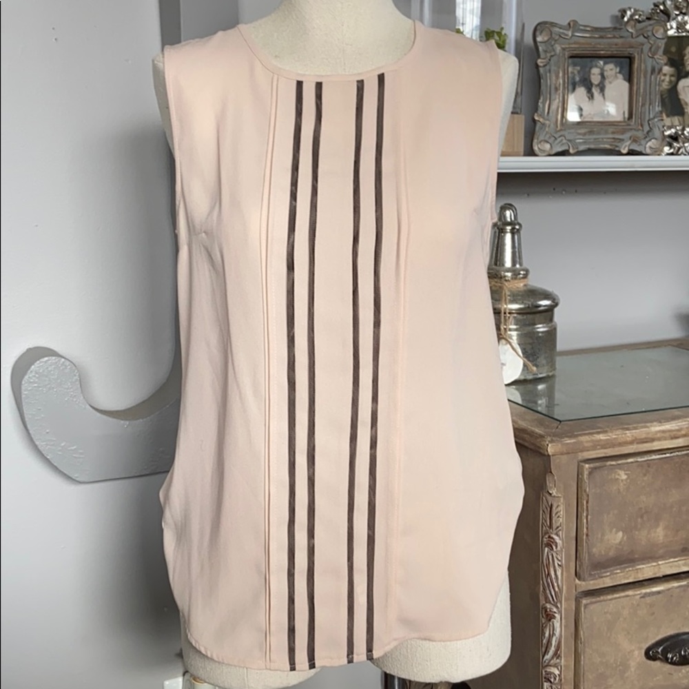 Pale pink with black tule detailing